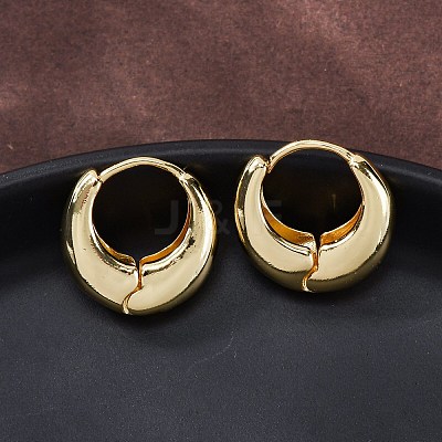 Rack Plating Brass Thick Hoop Earrings for Men Women EJEW-F288-06G-1