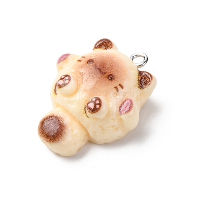 Opaque Resin Pendants RESI-A050-04B-1