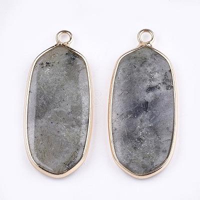 Natural Labradorite Pendants G-T112-23A-1
