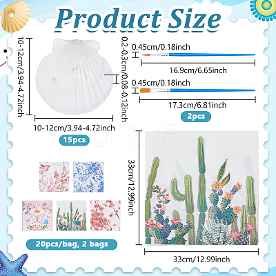 Natural Shell Display Decorations DIY-NB0014-92-1