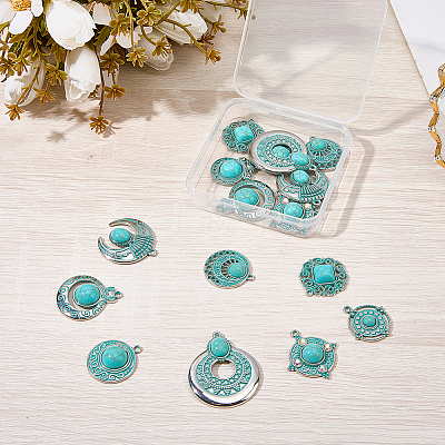 20Pcs 10 Styles Bohemia Styles Alloy & Acrylic Pendants FIND-SC0022-80-1
