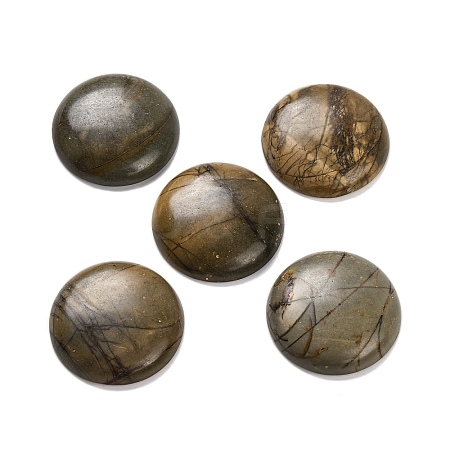 Natural Picasso Jasper Cabochons G-B085-02A-09-1