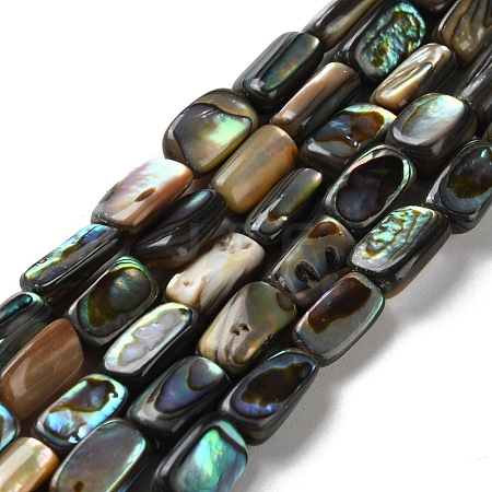 Natural Paua Shell Beads Strands SSHEL-B002-14-1