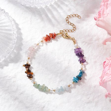 Chakra Natural Rose Quartz & Amethyst & Apatite & Aquamarine & Green Aventurine & Tiger Eye & Carnelian Chip Beaded Bracelets for Women BJEW-JB11740-02-1