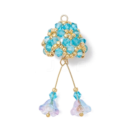 Glass Pendants PALLOY-MZ01033-02-1