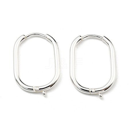 316 Surgical Stainless Steel Hoop Earrings Findings STAS-N097-055S-1