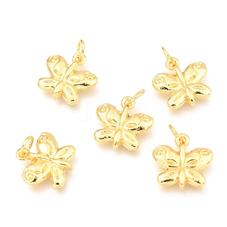 Alloy Charms PALLOY-B024-26G-1