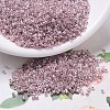 MIYUKI Delica Beads SEED-X0054-DB0256-1