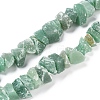 Natural Green Aventurine Beads Strands G-I283-F05-1