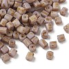 Opaque Colours Glass Seed Beads GL-CBAC3F6-02B-1