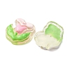 Transparent Resin Cabochons CRES-I046-09-3
