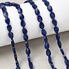 Natural Lapis Lazuli Beads Strands G-B159-A02-1