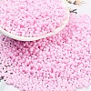 Baking Paint Glass Seed Beads SEED-A033-05K-1