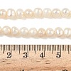 Natural Cultured Freshwater Pearl Beads Strands PEAR-RM241213-2-4