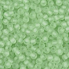 FGB Frosted Transparent Glass Seed Beads SEED-N013-02A-08-3