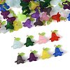 50Pcs Transparent Acrylic Pendants PALLOY-FS00043-05-2