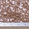 MIYUKI Round Rocailles Beads X-SEED-G007-RR1072-2