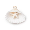 10Pcs Summer Beach Natural Shell Pendants PALLOY-JF02648-01-S-1
