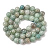 Natural Amazonite Beads Strands G-F461-12-8mm-01B-4