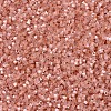 MIYUKI Delica Beads SEED-X0054-DB1863-3