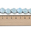 Handmade Porcelain Beads Strands X-PORC-Q002-01A-05-3