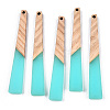 Translucent Resin & Walnut Wood Big Pendants RESI-N025-036-B01-3