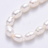 Natural Cultured Freshwater Pearl Beads Strands X-PEAR-N012-06D-4