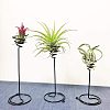 Iron Spiral Flower Stand TOOL-GA0001-04-5