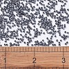 MIYUKI Delica Beads SEED-MY11-DB0306-4