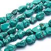 Natural Magnesite Beads Strands TURQ-G148-18B-1