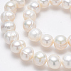 Grade A Natural Cultured Freshwater Pearl Beads Strands PEAR-L001-B-08-3