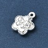 Alloy Charms AL-CBA5B8E-19S-2