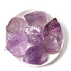 Natural Rough Raw Amethyst Display Decorations G-PW0007-156C-1