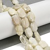 Natural Rainbow Moonstone Beads Strands G-P544-B05-01-2