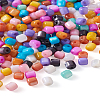 300Pcs 10 Colors Natural Freshwater Shell Beads SHEL-TA0001-06-25