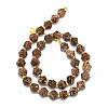 Natural Starburst Jasper Beads Strands G-I376-A60-01-2