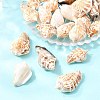 Natural Conch Shell Beads BSHE-O007-57-5