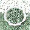 Picasso Baking Paint Glass Seed Beads SEED-N007-35D-2