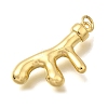 Brass Pendants KK-Z125-10G-2