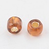 8/0 Glass Seed Beads X1-SEED-A005-3mm-53-2