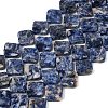 Natural Blue Spot Jasper Beads Strands G-L239-17-1