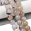 Natural Dendritic Agate Beads Strands G-A248-A07-07-2