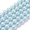 Electroplated Shell Pearl Beads Strands BSHE-G041-10mm-03-1