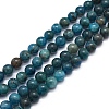 Natural Apatite Beads Strands G-F591-01-1