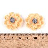 Resin Decoden Cabochons CRES-T025-04B-3