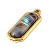 Paua Shell Pendants SSHEL-B145-01A-G-2