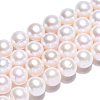 Natural Cultured Freshwater Pearl Beads Strands PEAR-N016-09C-3