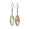 Natural Paua Shell Dangle Earrings EJEW-JE06274-03-2