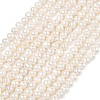 Natural Cultured Freshwater Pearl Beads Strands PEAR-L034-09A-2