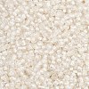 12/0 Glass Seed Beads SDB201-1